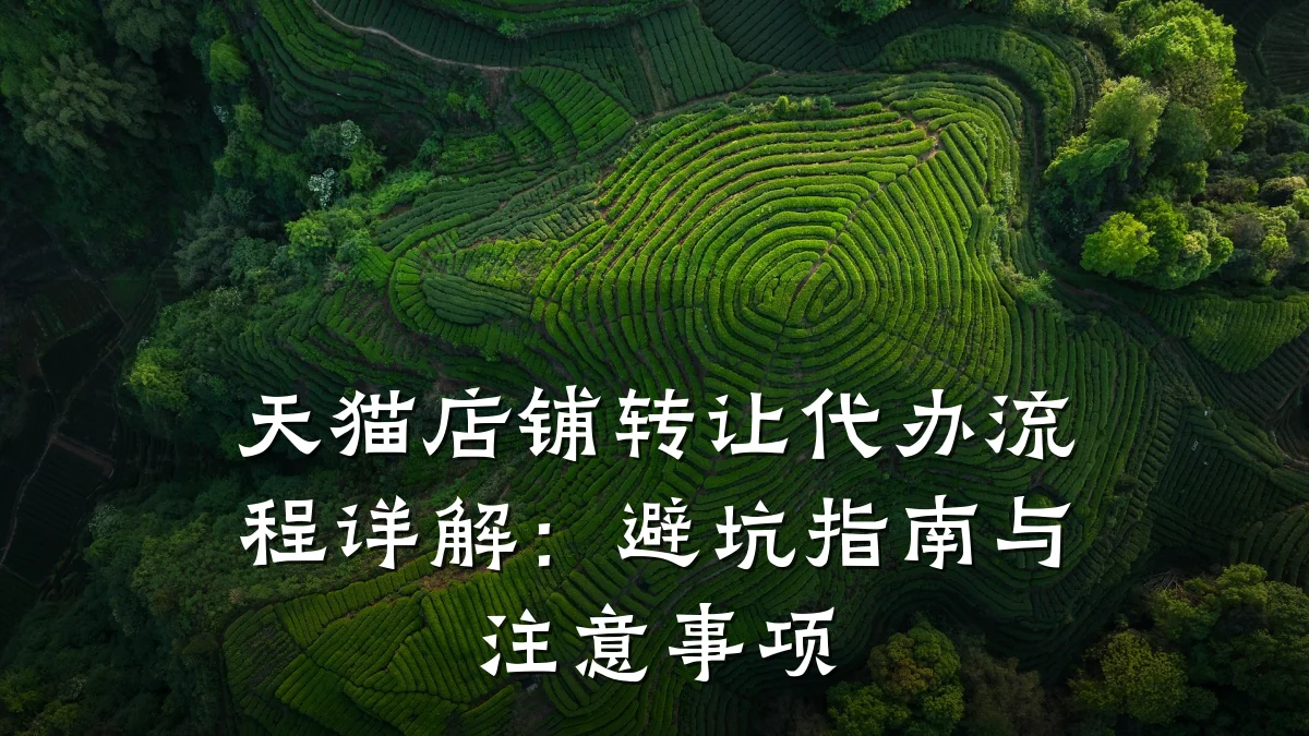 天猫店铺转让代办流程详解:避坑指南与注意事项