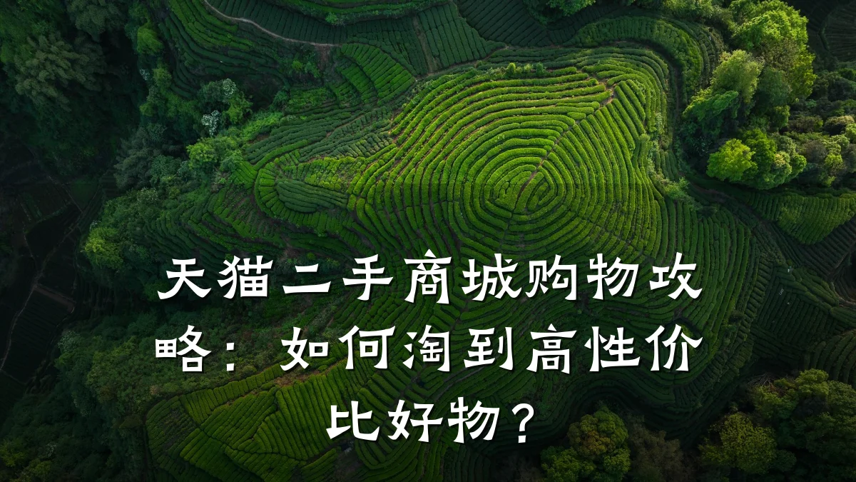 天猫二手商城购物攻略：如何淘到高性价比好物？