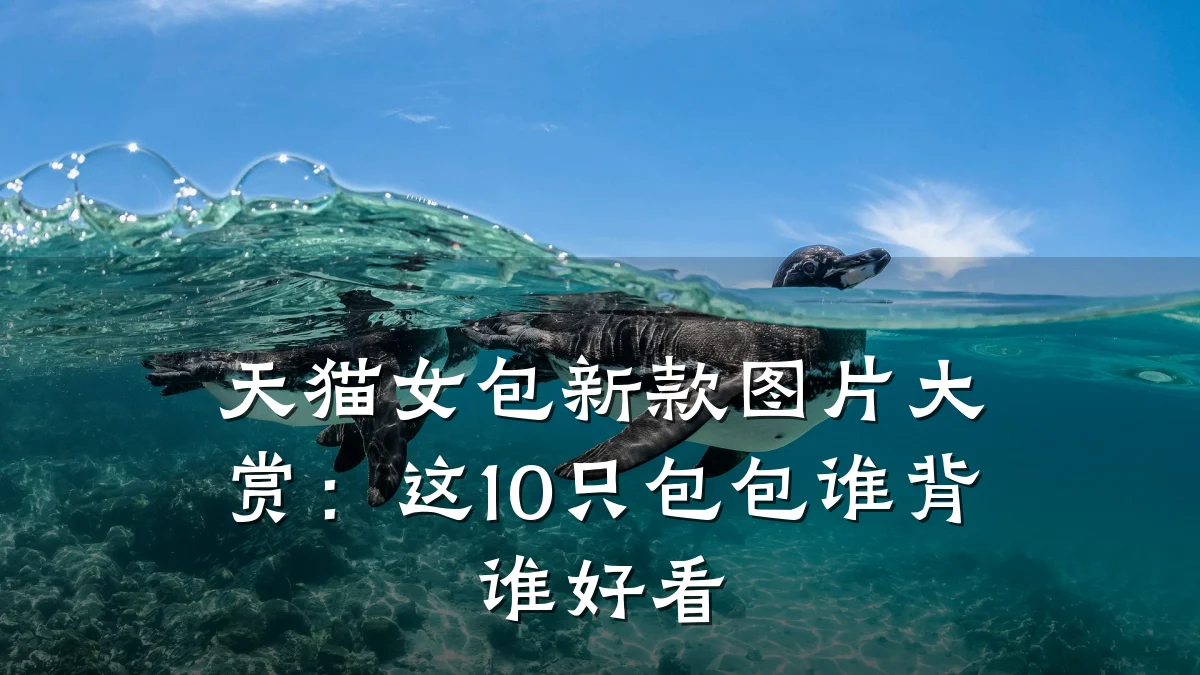 天猫女包新款图片大赏:这10只包包谁背谁好看