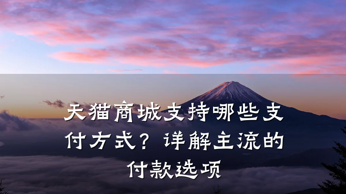 天猫商城支持哪些支付方式？详解主流的付款选项