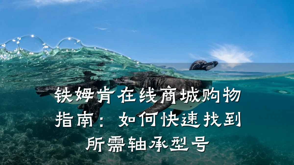 铁姆肯在线商城购物指南：如何快速找到所需轴承型号