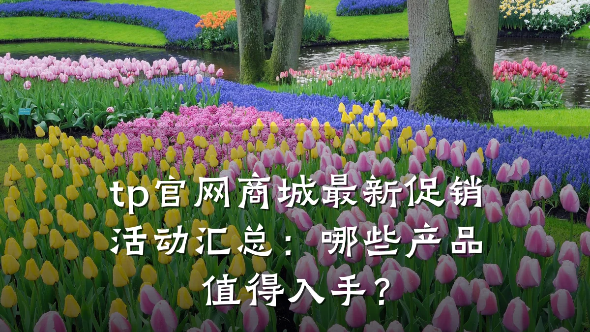 tp官网商城最新促销活动汇总:哪些产品值得入手?