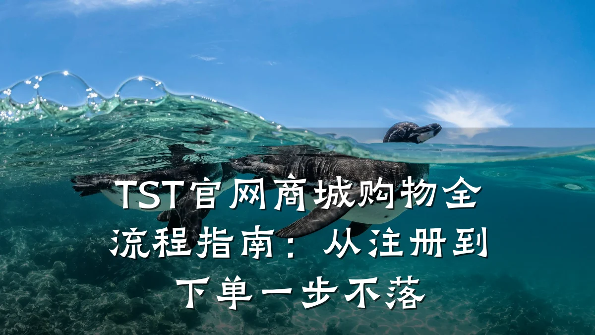 TST官网商城购物全流程指南:从注册到下单一步不落