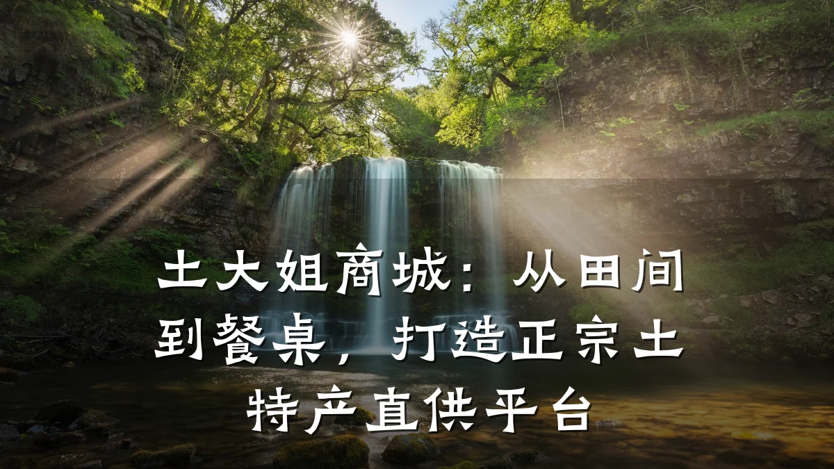 土大姐商城：从田间到餐桌，打造正宗土特产直供平台