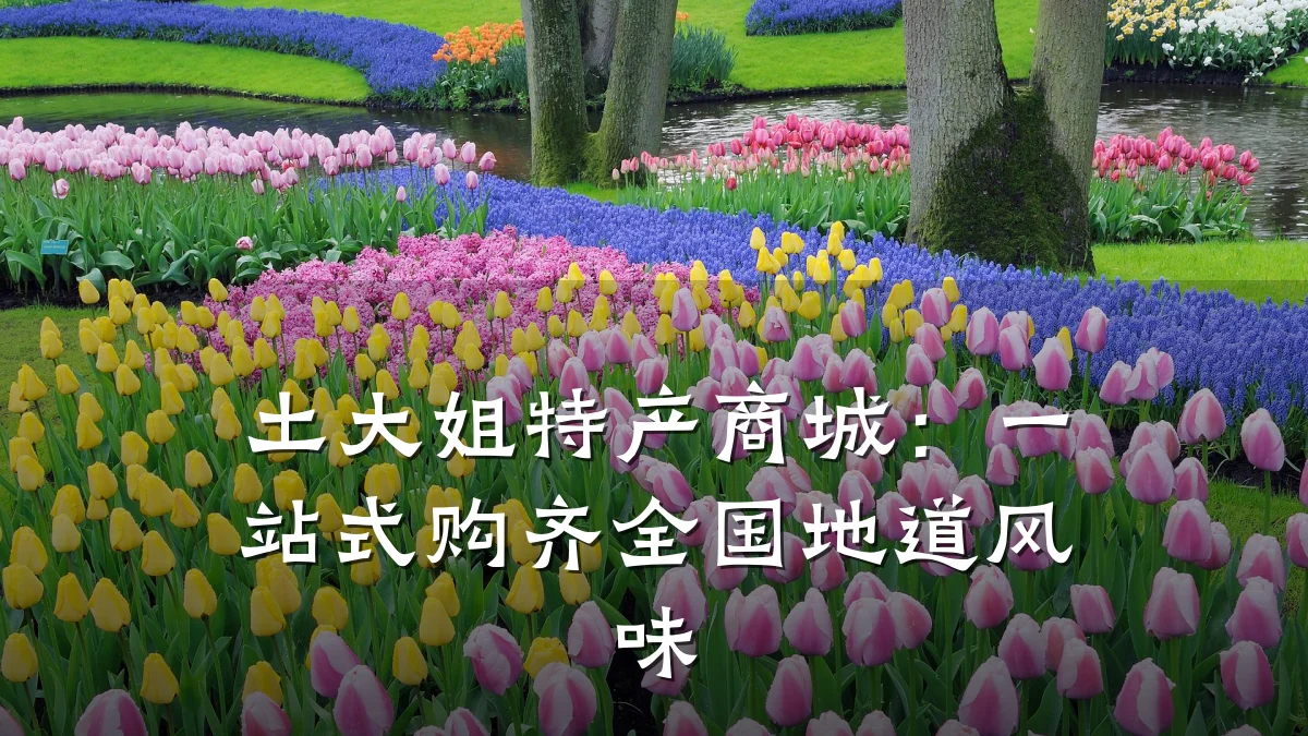 土大姐特产商城:一站式购齐全国地道风味