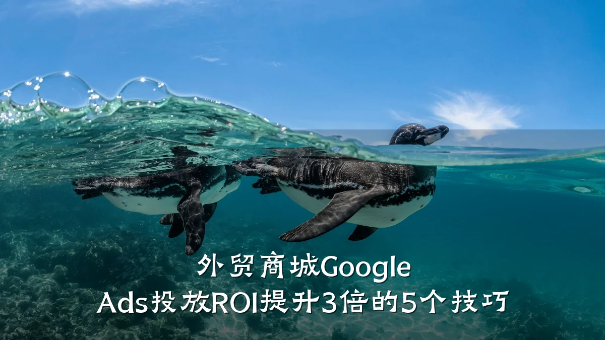 外贸商城Google Ads投放ROI提升3倍的5个技巧