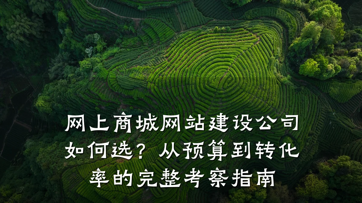 网上商城网站建设公司如何选？从预算到转化率的完整考察指南
