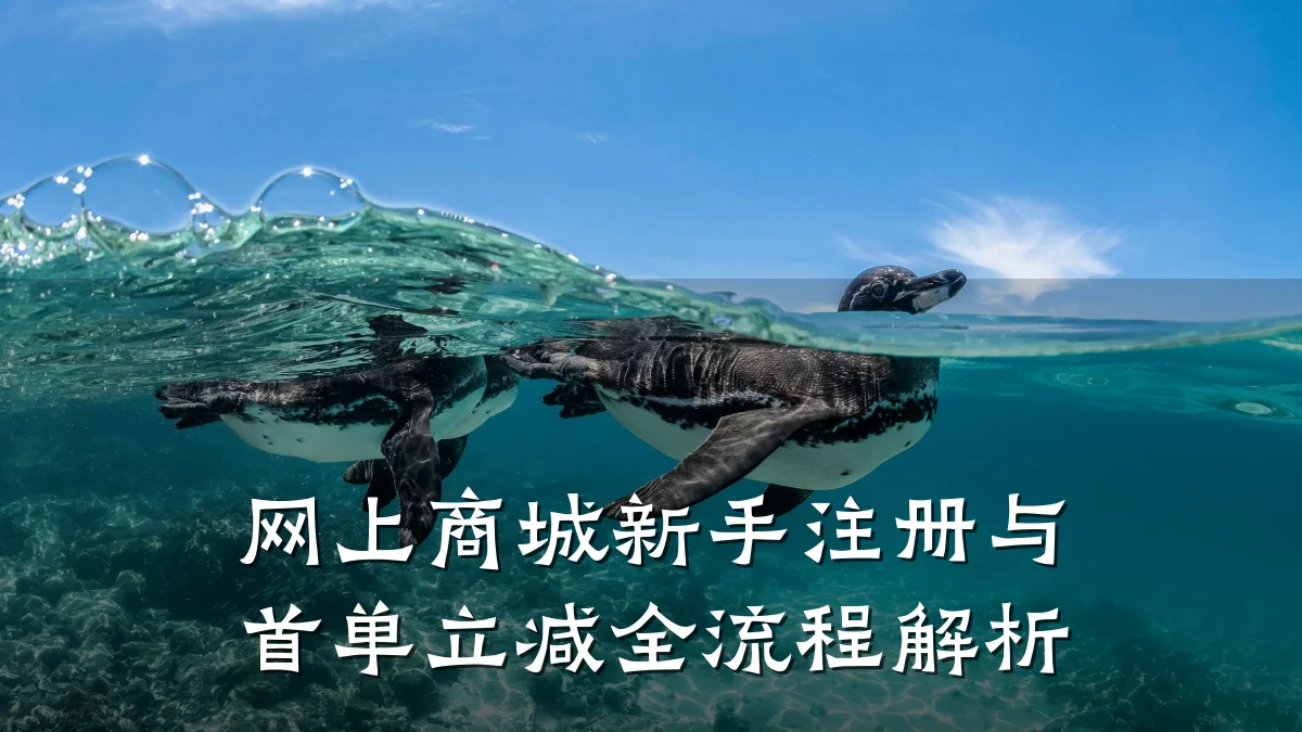网上商城新手注册与首单立减全流程解析