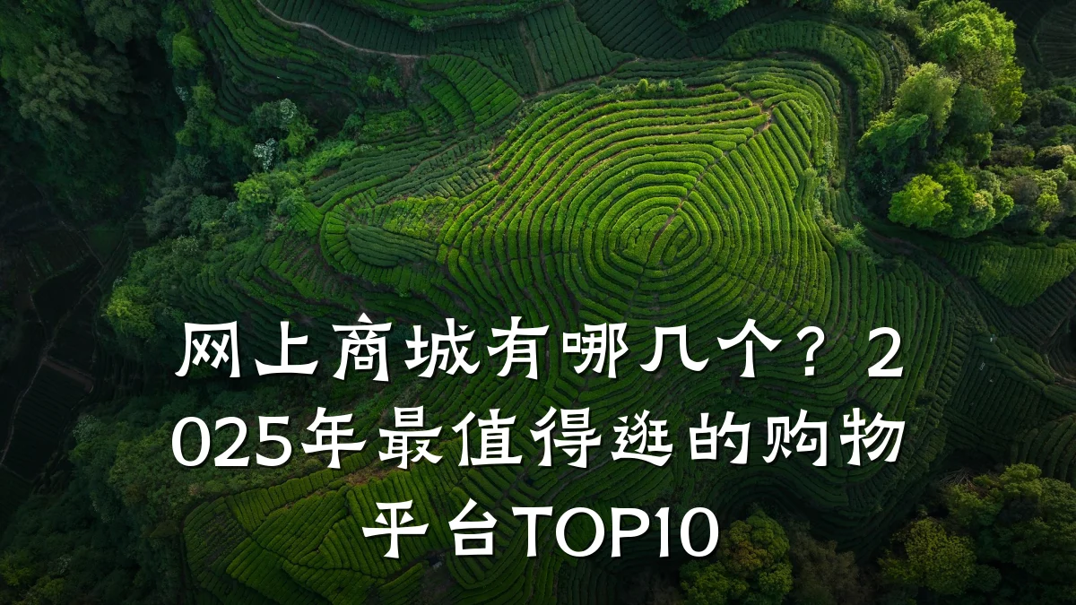 网上商城有哪几个？2025年最值得逛的购物平台TOP10