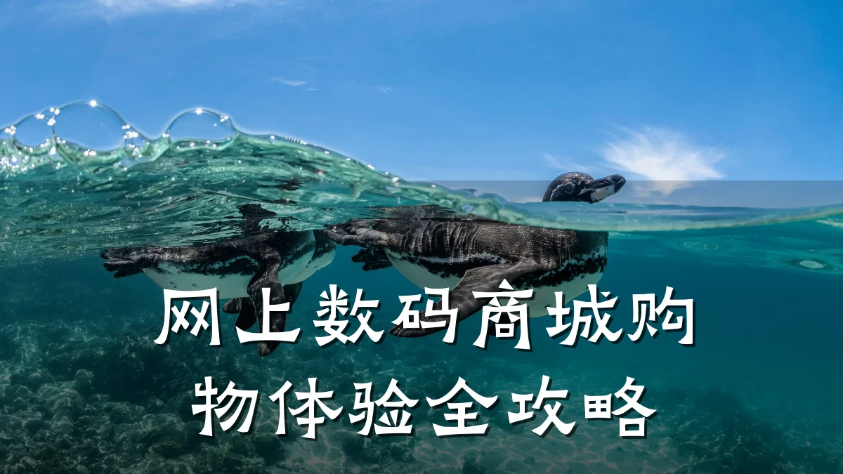 网上数码商城购物体验全攻略