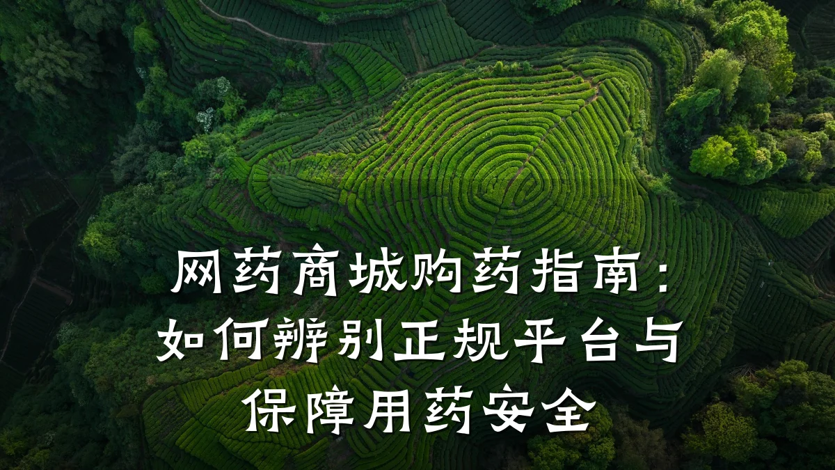 网药商城购药指南:如何辨别正规平台与保障用药安全