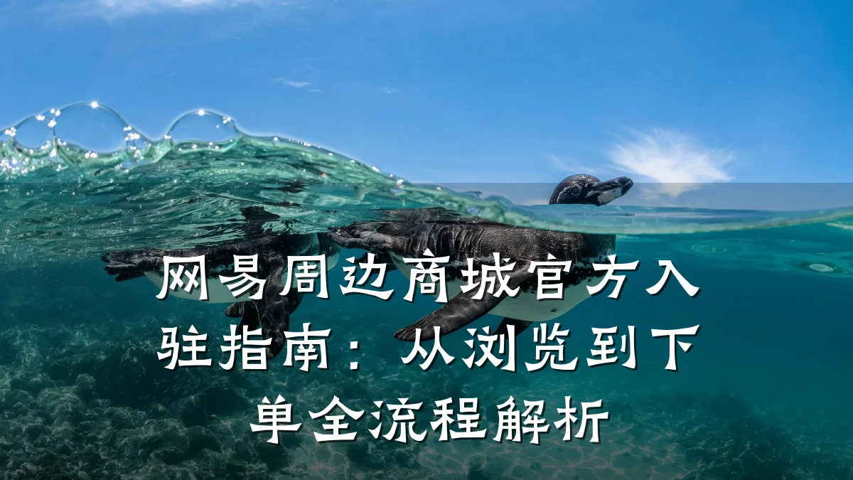 网易周边商城官方入驻指南：从浏览到下单全流程解析