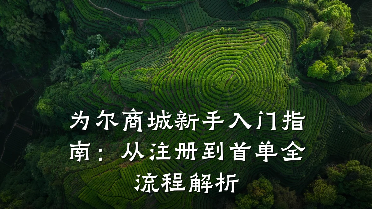 为尔商城新手入门指南：从注册到首单全流程解析
