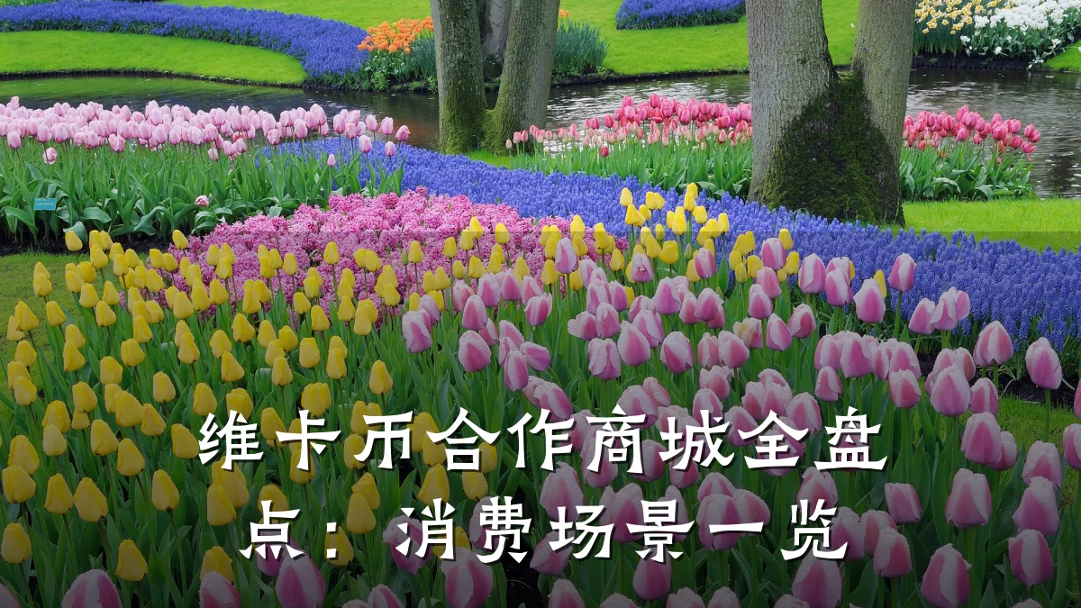 维卡币合作商城全盘点:消费场景一览