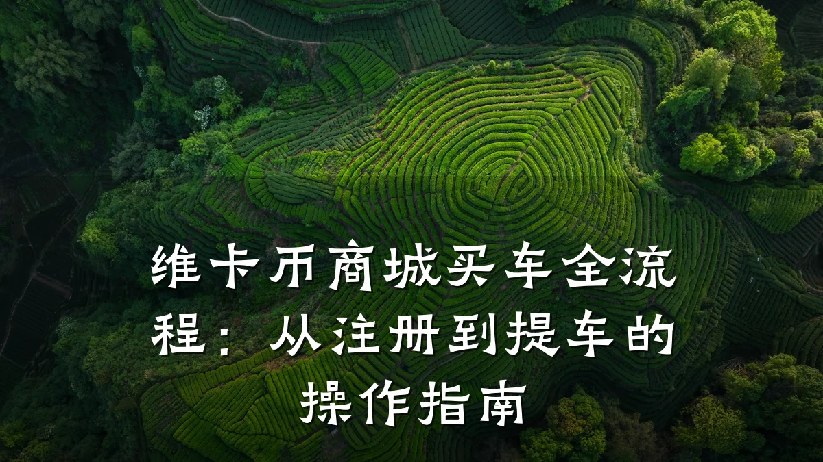 维卡币商城买车全流程:从注册到提车的操作指南