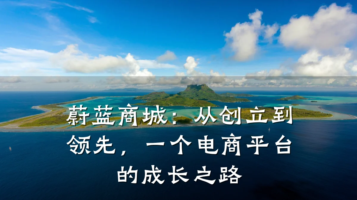 蔚蓝商城：从创立到领先，一个电商平台的成长之路