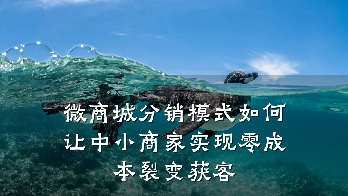 微商城分销模式如何让中小商家实现零成本裂变获客