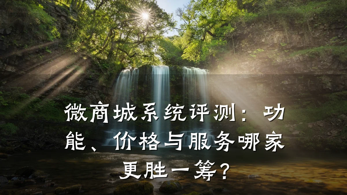 微商城系统评测：功能、价格与服务哪家更胜一筹？