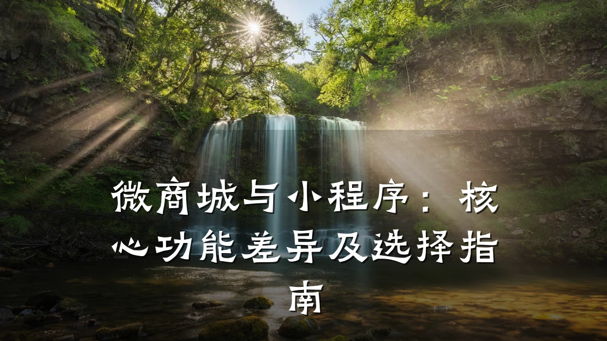 微商城与小程序:核心功能差异及选择指南