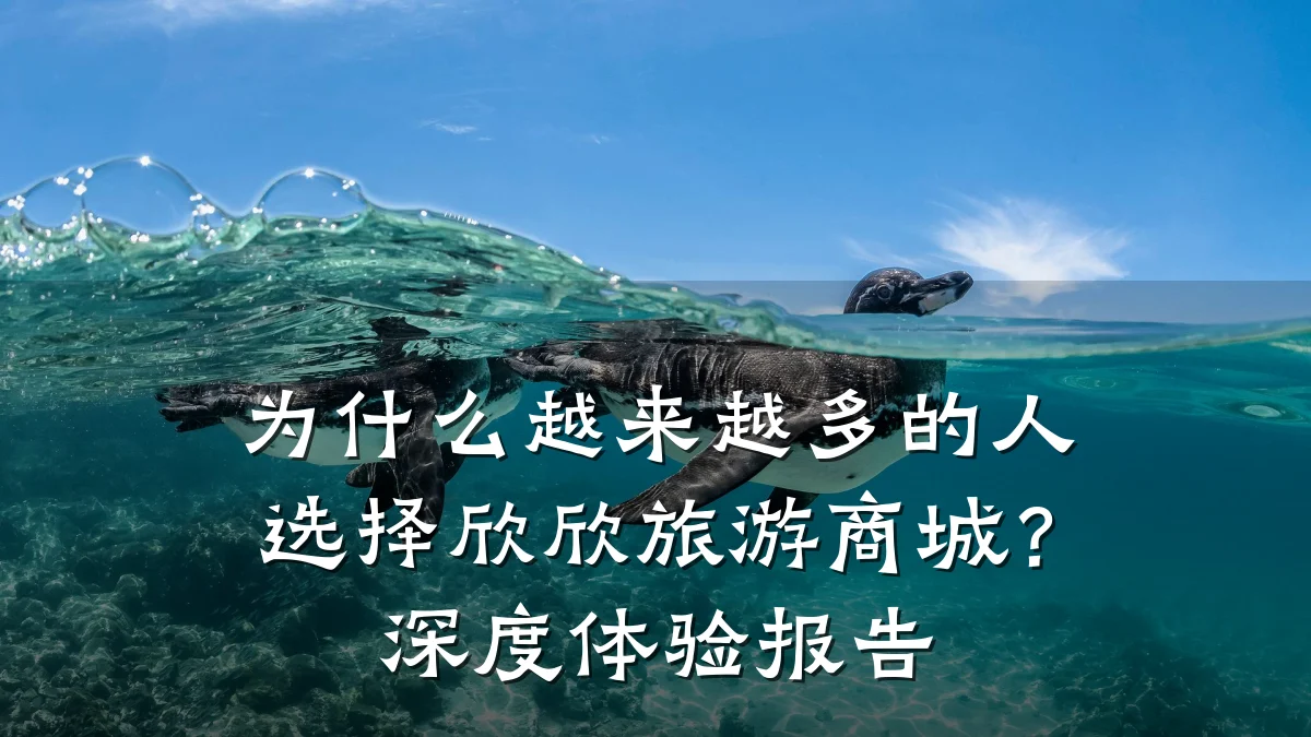 为什么越来越多的人选择欣欣旅游商城？深度体验报告