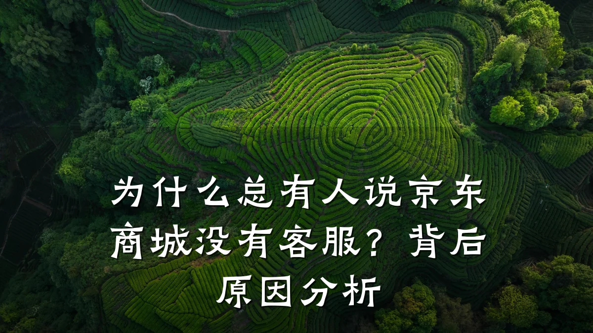 为什么总有人说京东商城没有客服?背后原因分析