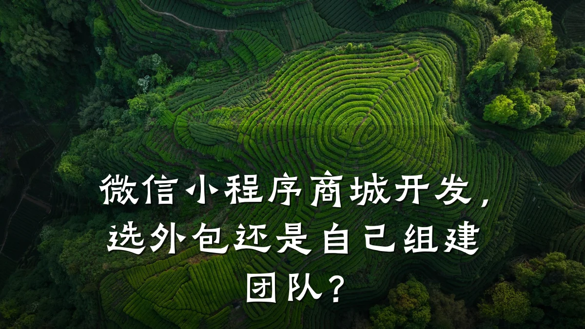微信小程序商城开发，选外包还是自己组建团队？