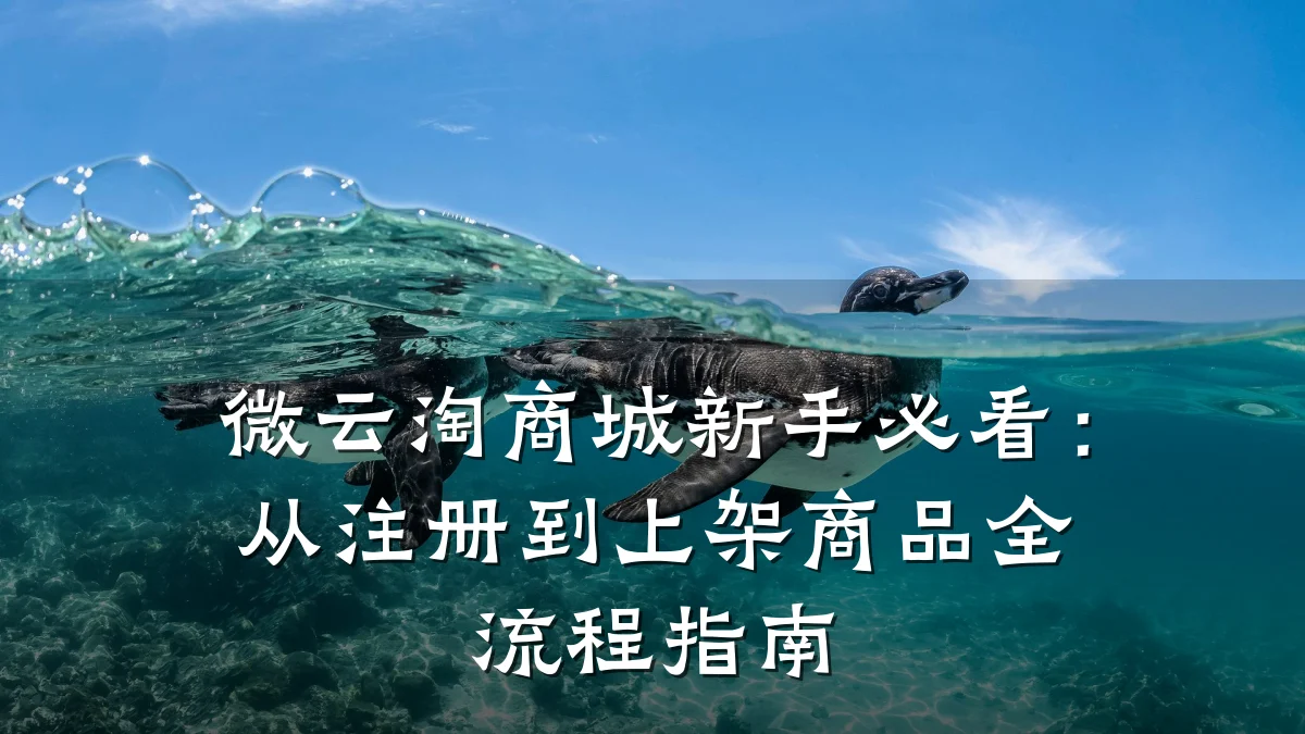 微云淘商城新手必看:从注册到上架商品全流程指南