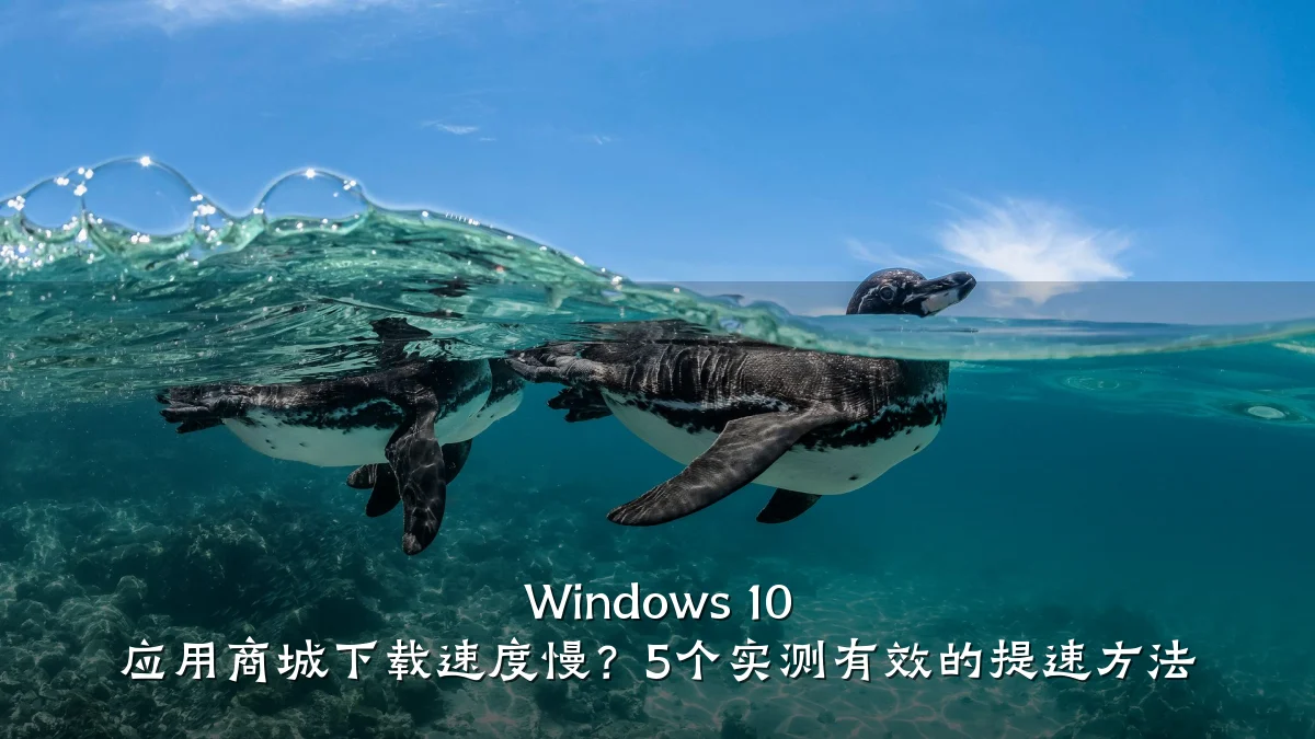 Windows 10 应用商城下载速度慢？5个实测有效的提速方法