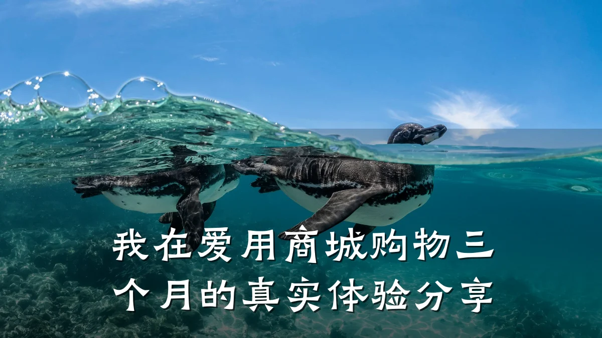 我在爱用商城购物三个月的真实体验分享