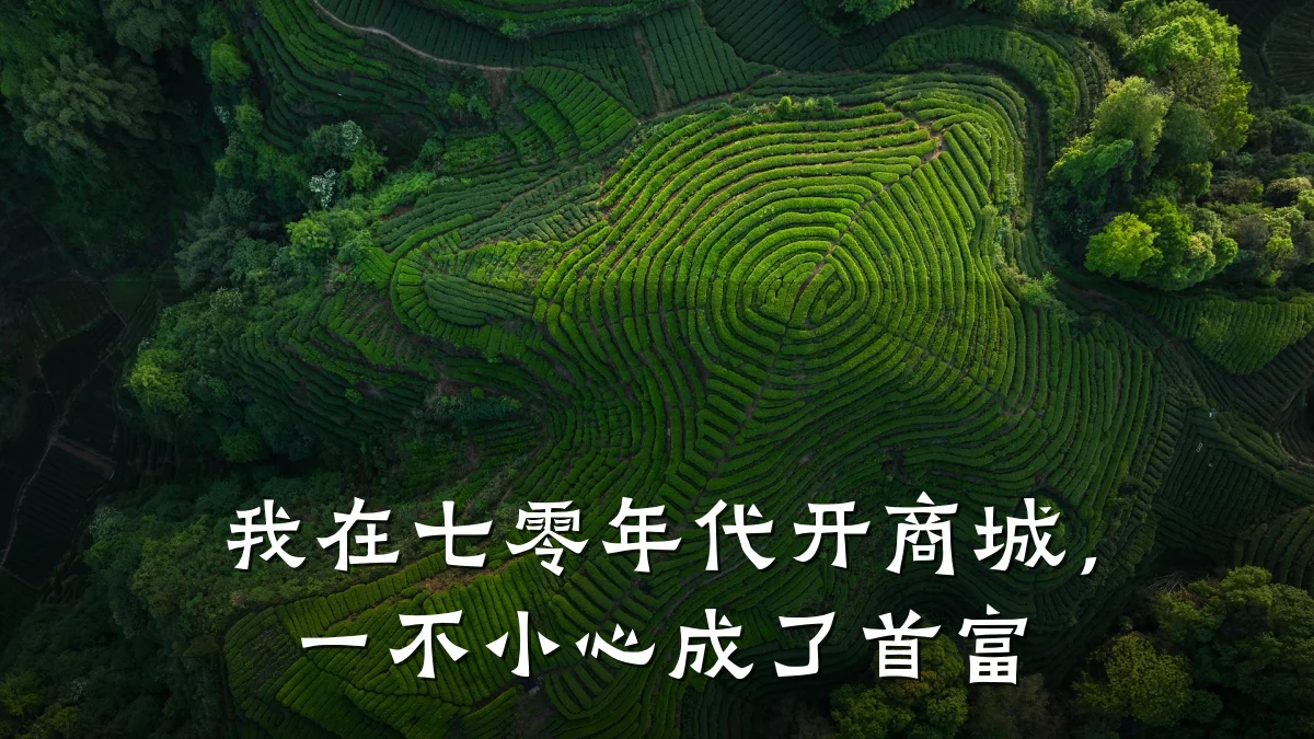 我在七零年代开商城,一不小心成了首富