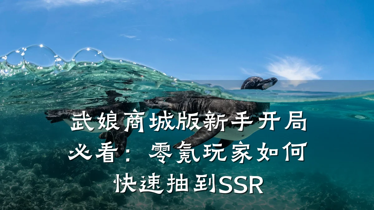 武娘商城版新手开局必看:零氪玩家如何快速抽到SSR