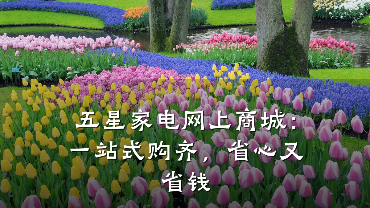 五星家电网上商城:一站式购齐,省心又省钱