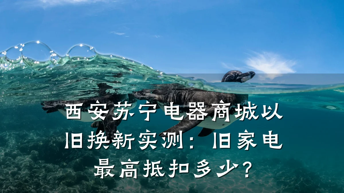 西安苏宁电器商城以旧换新实测:旧家电最高抵扣多少?