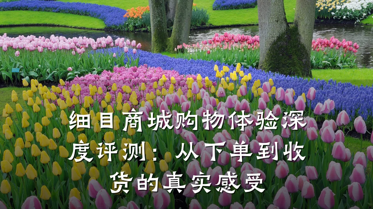 细目商城购物体验深度评测:从下单到收货的真实感受