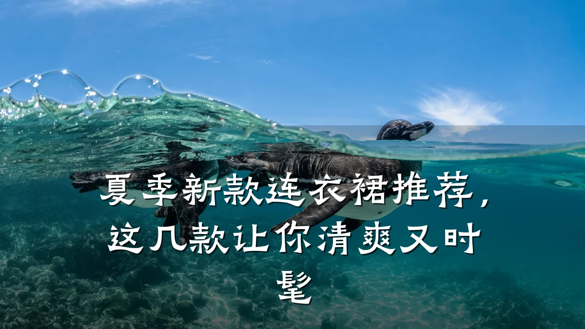 夏季新款连衣裙推荐,这几款让你清爽又时髦