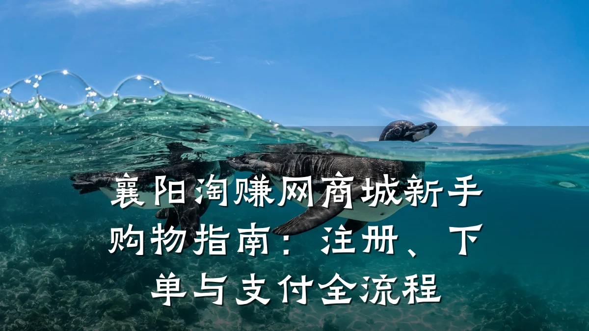 襄阳淘赚网商城新手购物指南:注册、下单与支付全流程