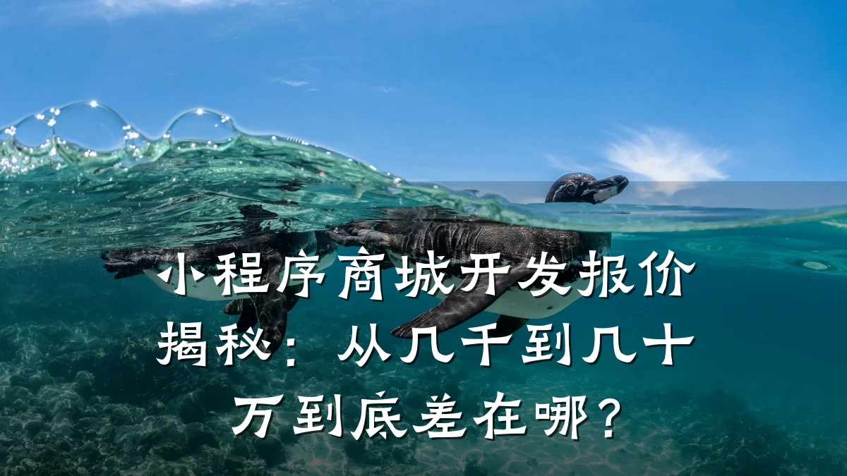 小程序商城开发报价揭秘：从几千到几十万到底差在哪？