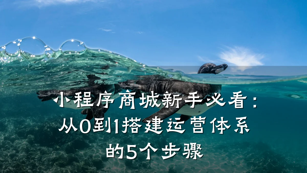 小程序商城新手必看:从0到1搭建运营体系的5个步骤