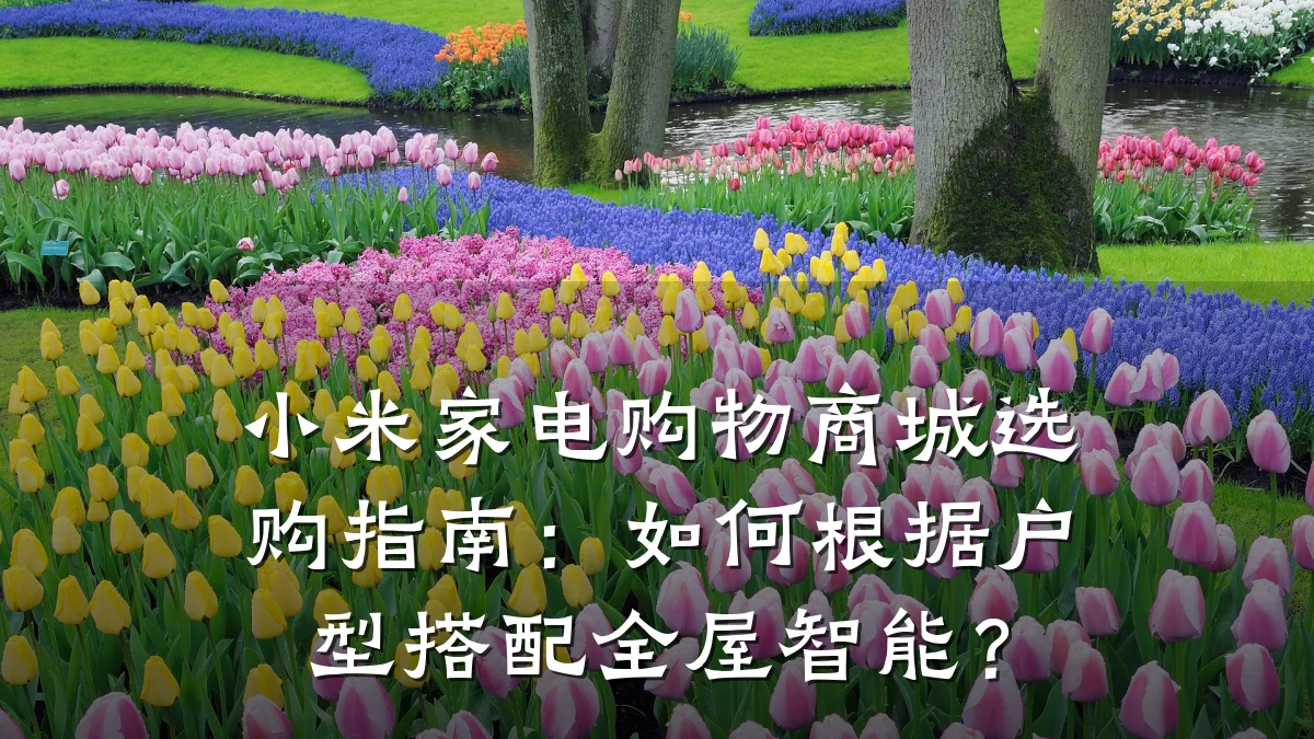 小米家电购物商城选购指南：如何根据户型搭配全屋智能？