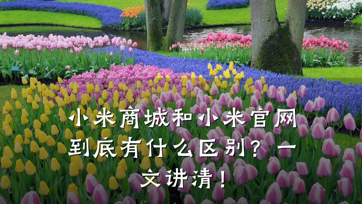 小米商城和小米官网到底有什么区别?一文讲清!