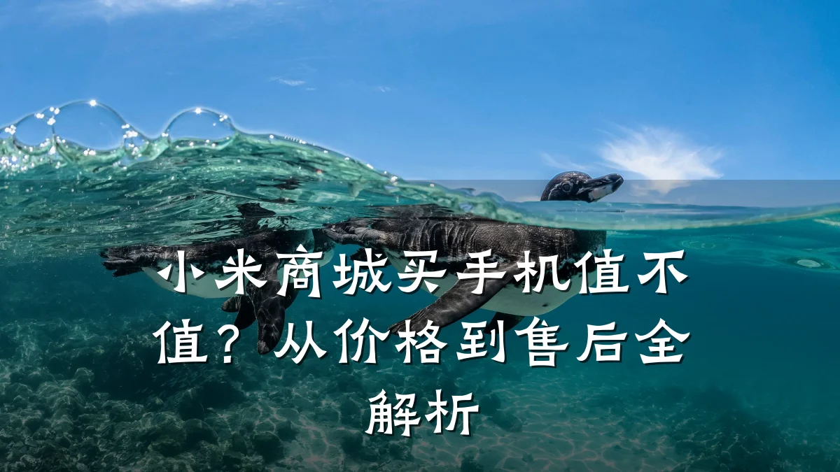 小米商城买手机值不值?从价格到售后全解析