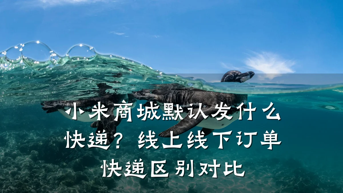 小米商城默认发什么快递?线上线下订单快递区别对比