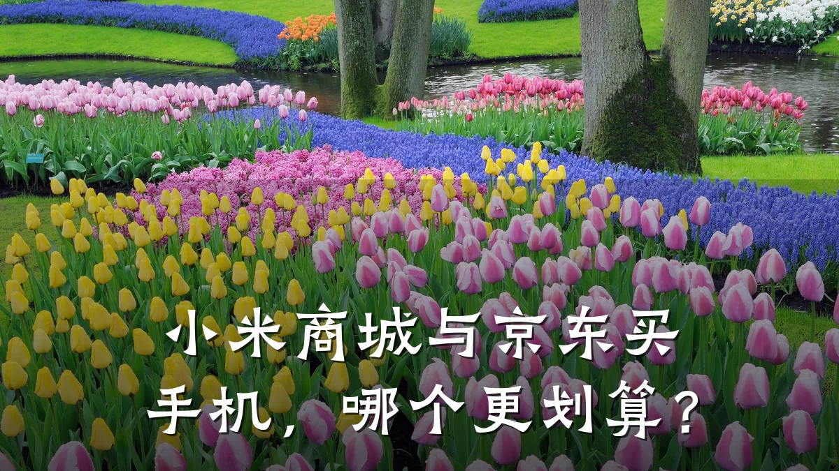 小米商城与京东买手机,哪个更划算?