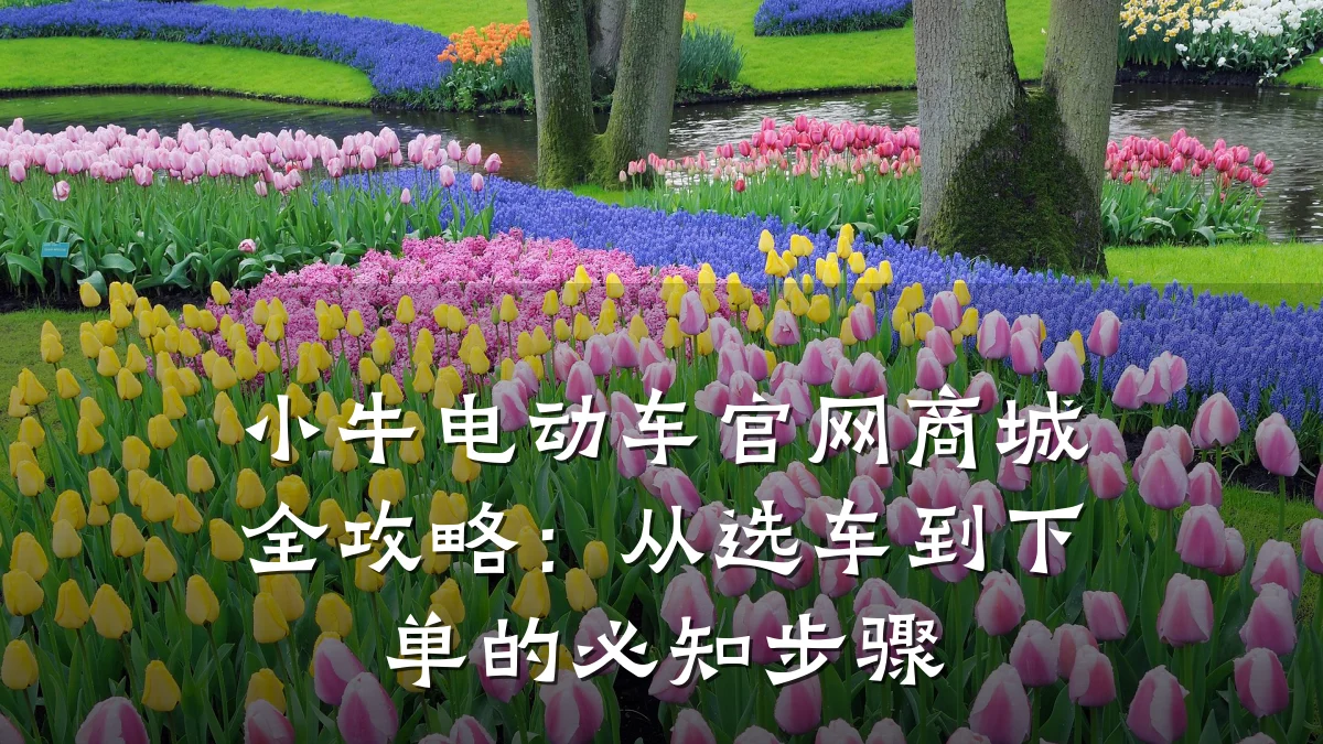 小牛电动车官网商城全攻略：从选车到下单的必知步骤