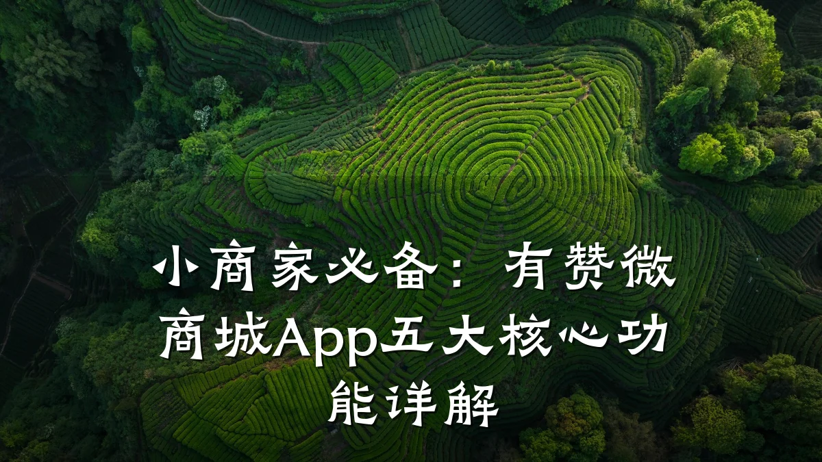 小商家必备：有赞微商城App五大核心功能详解