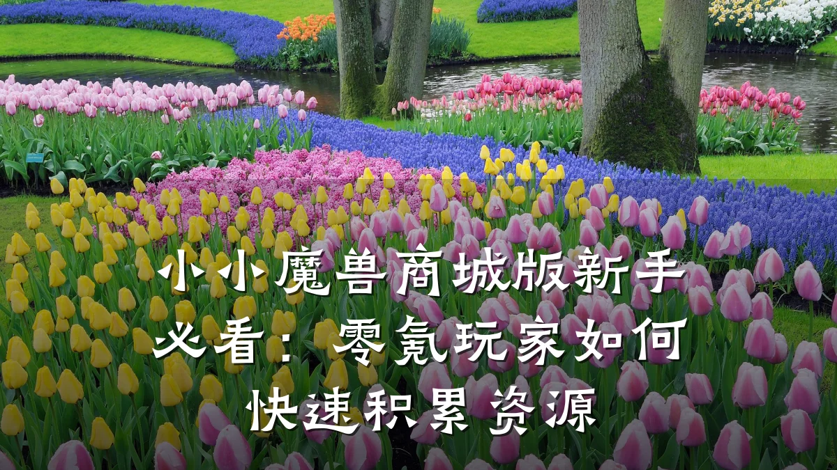 小小魔兽商城版新手必看：零氪玩家如何快速积累资源