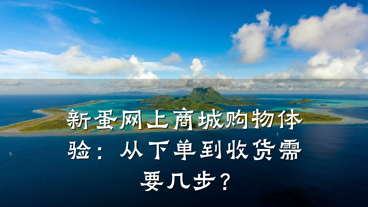 新蛋网上商城购物体验：从下单到收货需要几步？
