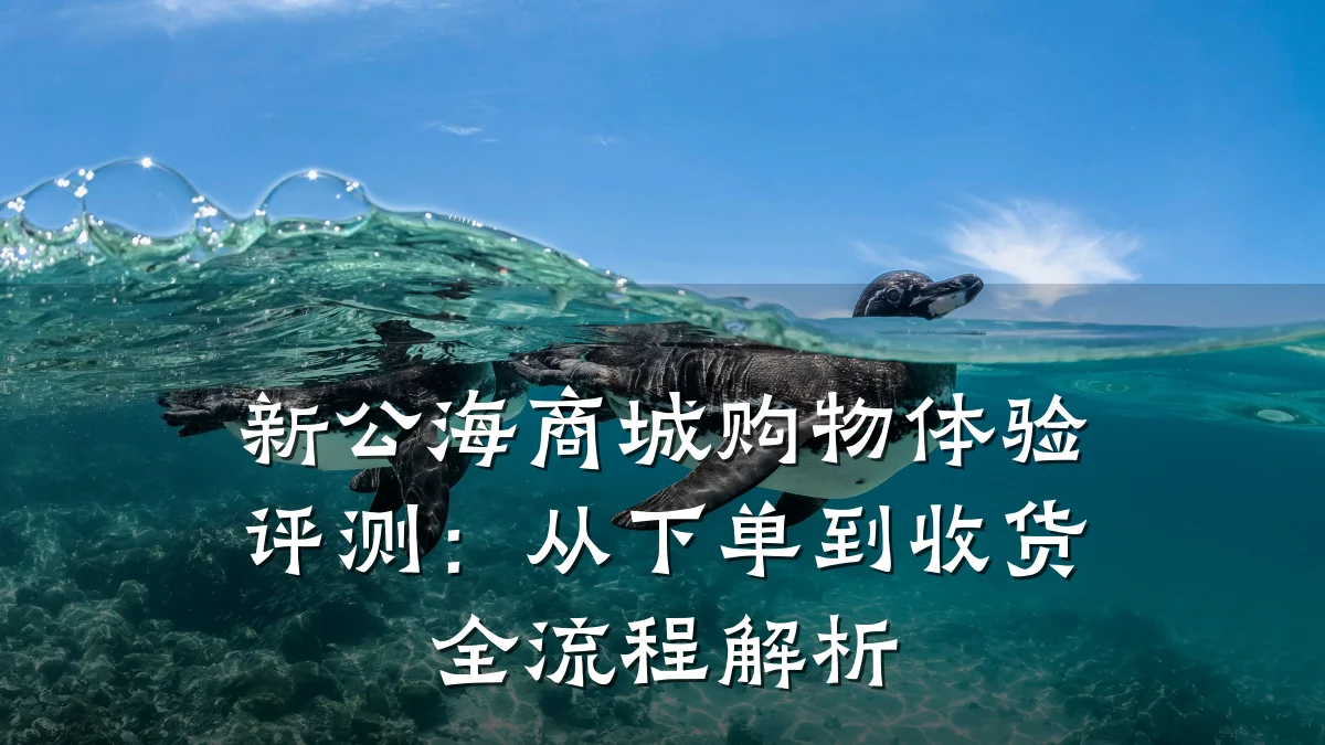 新公海商城购物体验评测：从下单到收货全流程解析