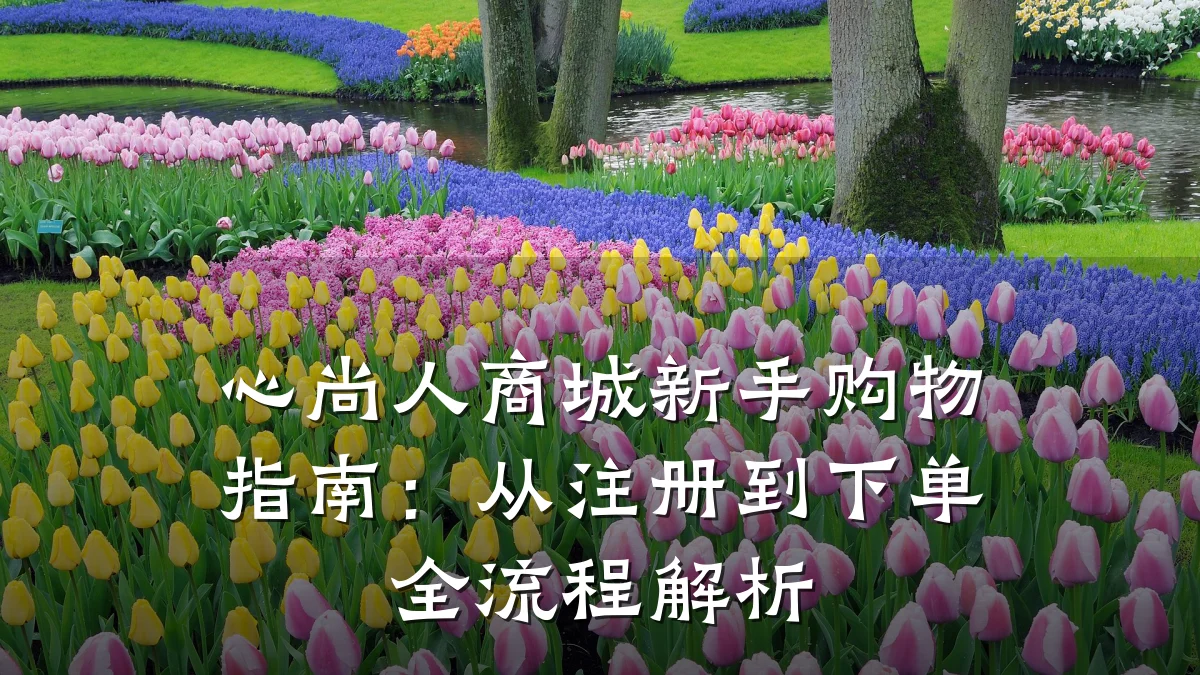 心尚人商城新手购物指南：从注册到下单全流程解析