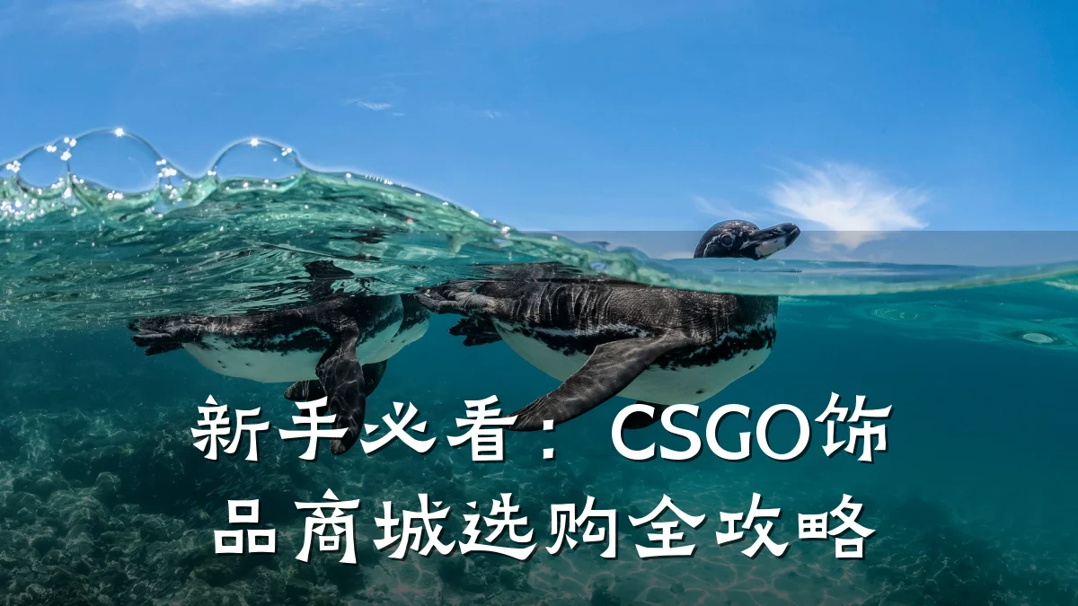 新手必看:CSGO饰品商城选购全攻略